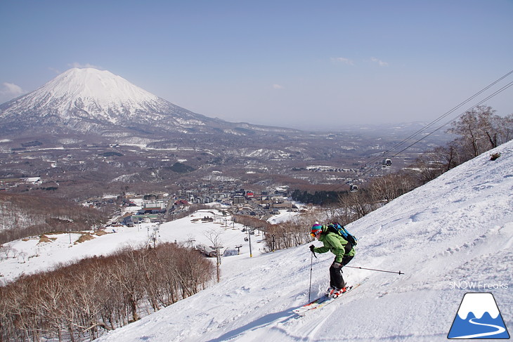 DYNASTAR SKI series Test Ride Days 2017 in ニセコユナイテッド【Day.2】～ニセコグラン・ヒラフ～